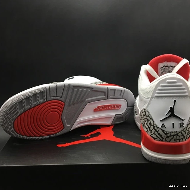 Jordan3 Retro of Fame 783 Hall AllSeason 136064-116 0610